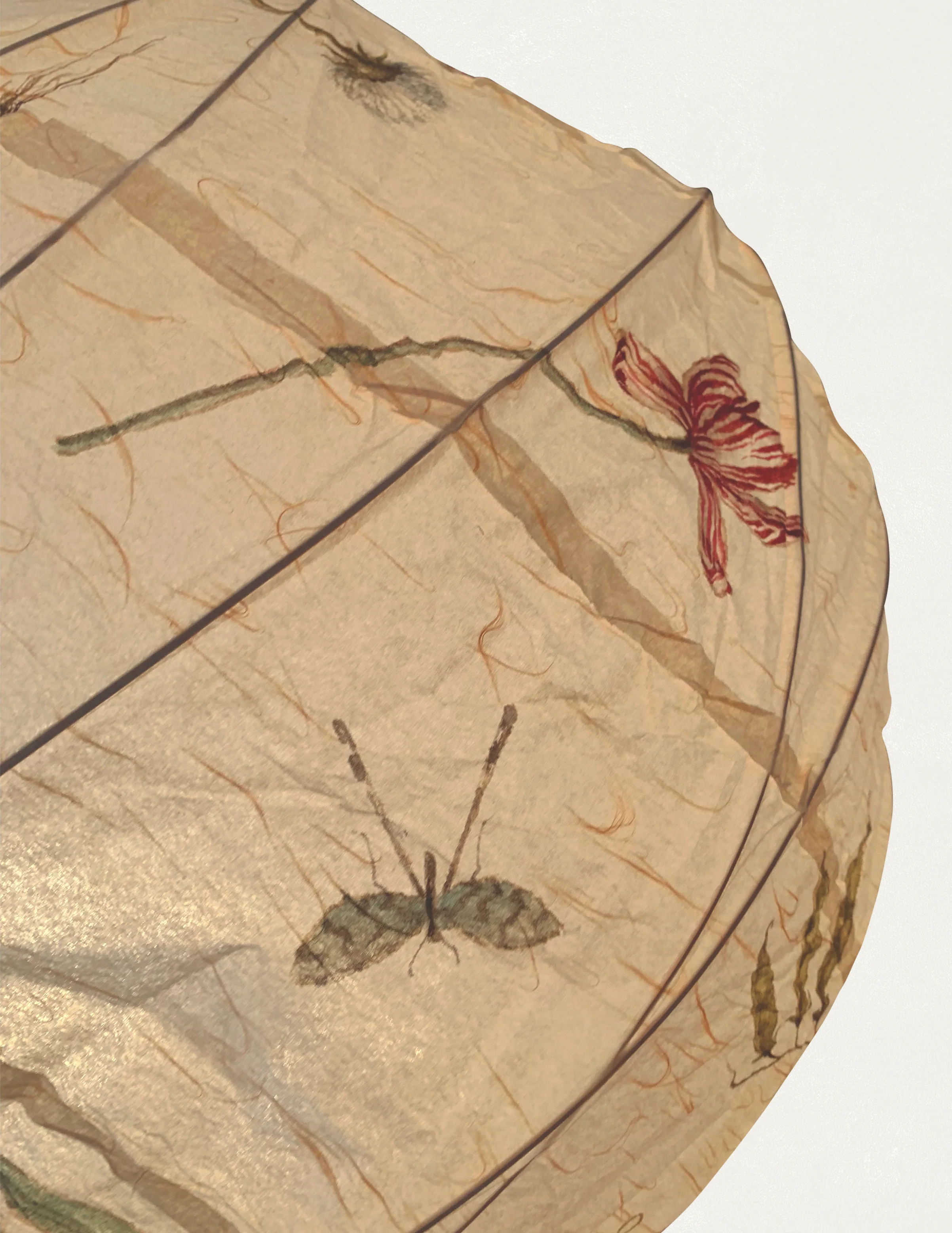 Flora Lantern in Round - Image 4