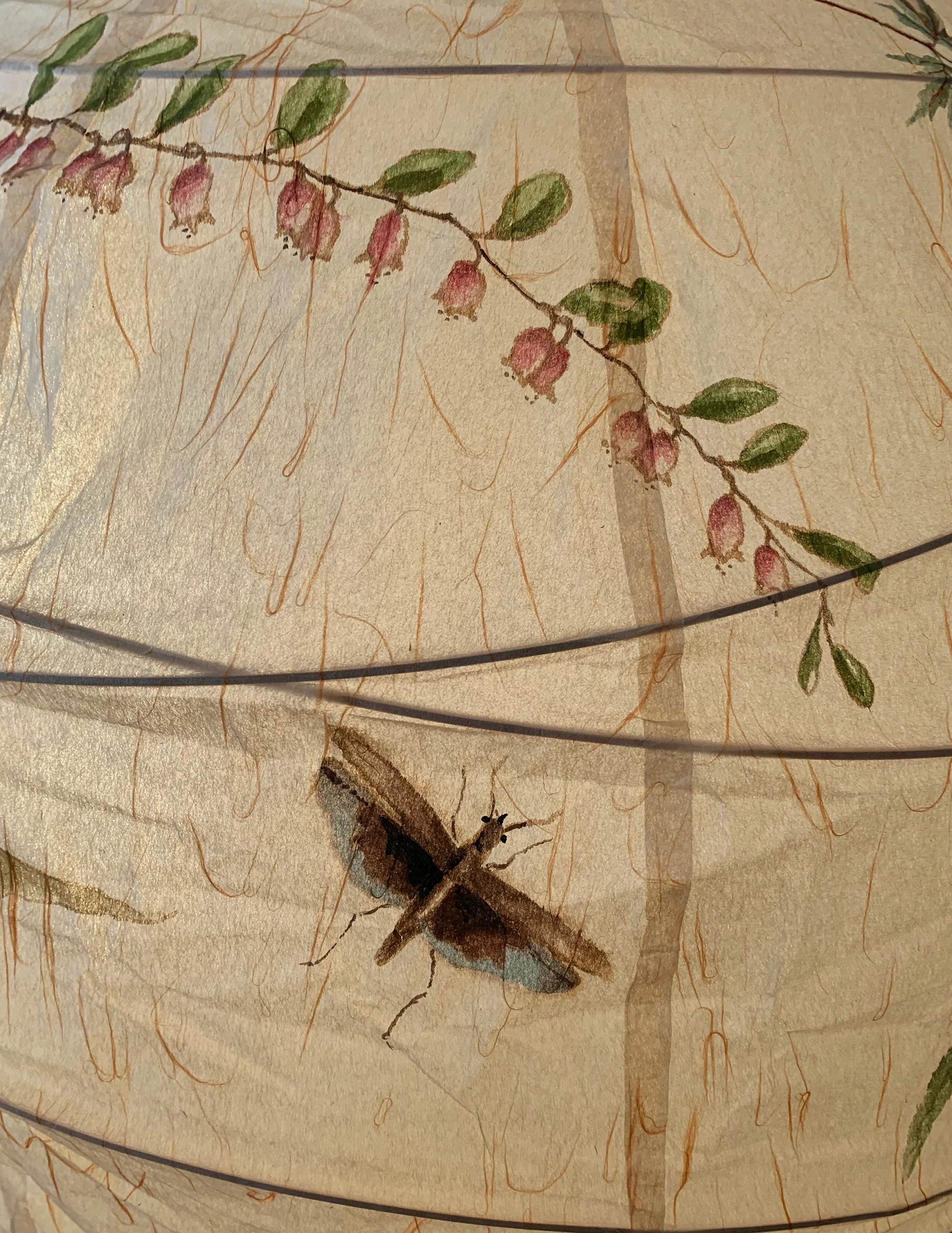 Flora Lantern in Round - Image 5