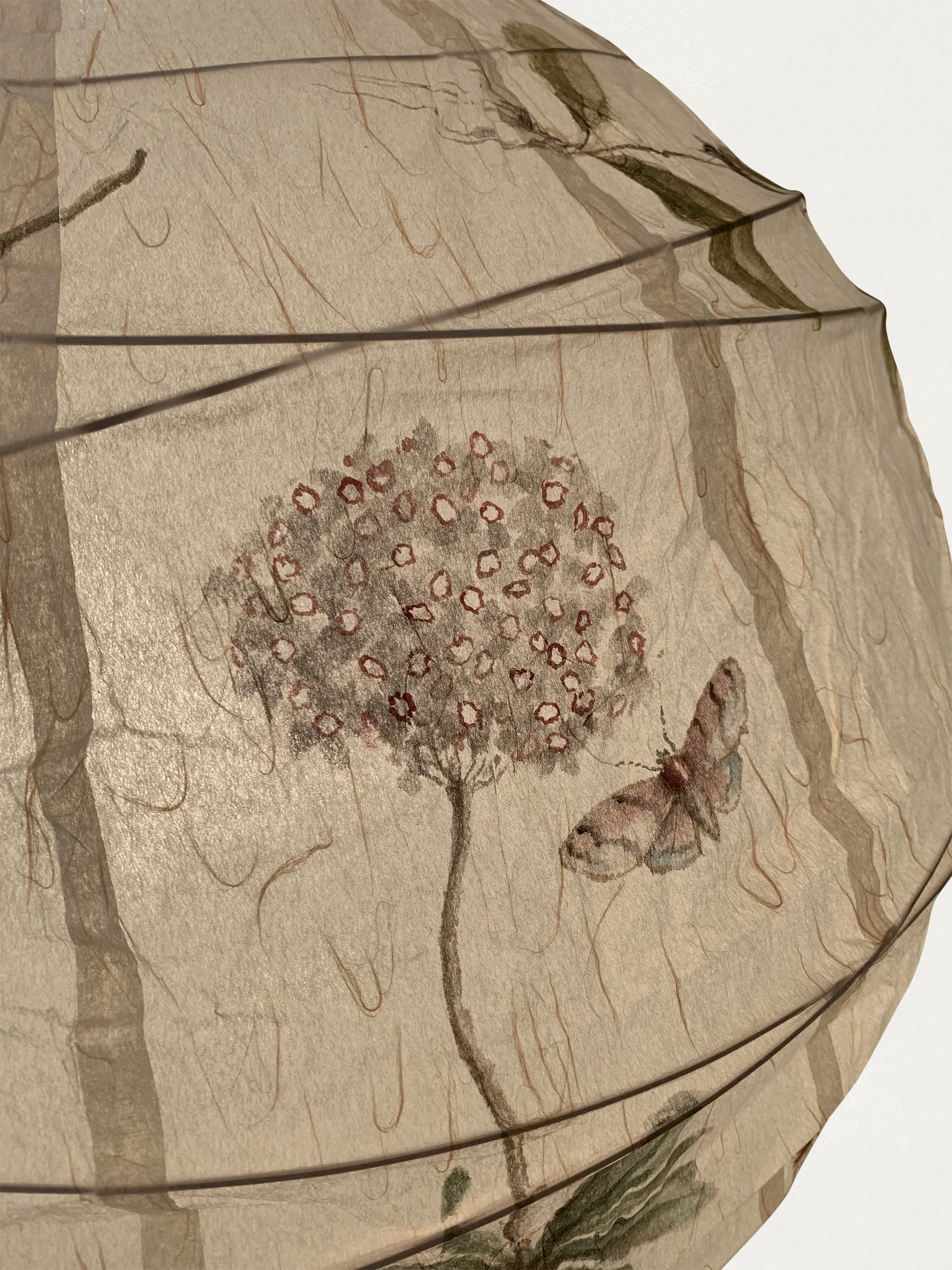 Flora Lantern in Round - Image 6