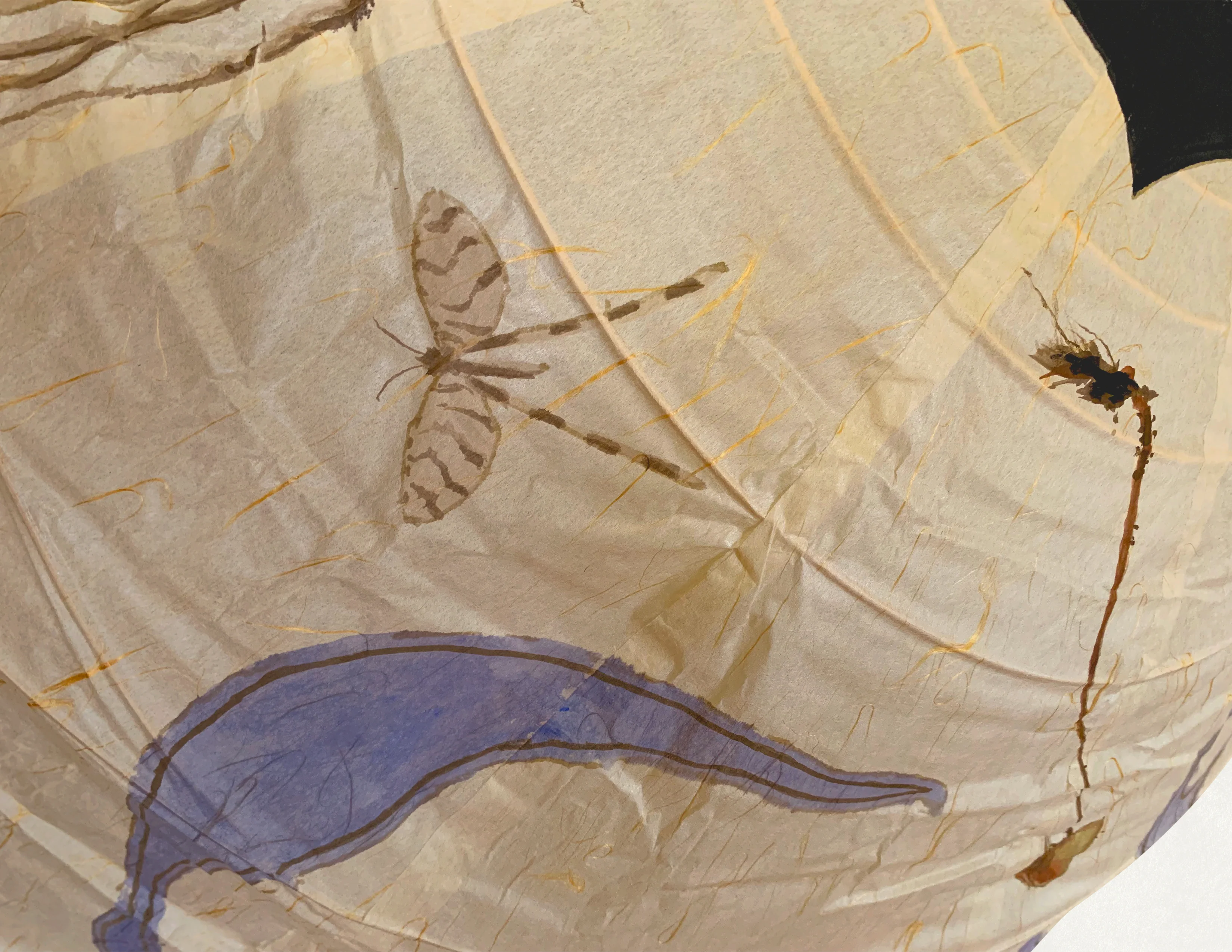 Funghi Lantern in Round - Image 3