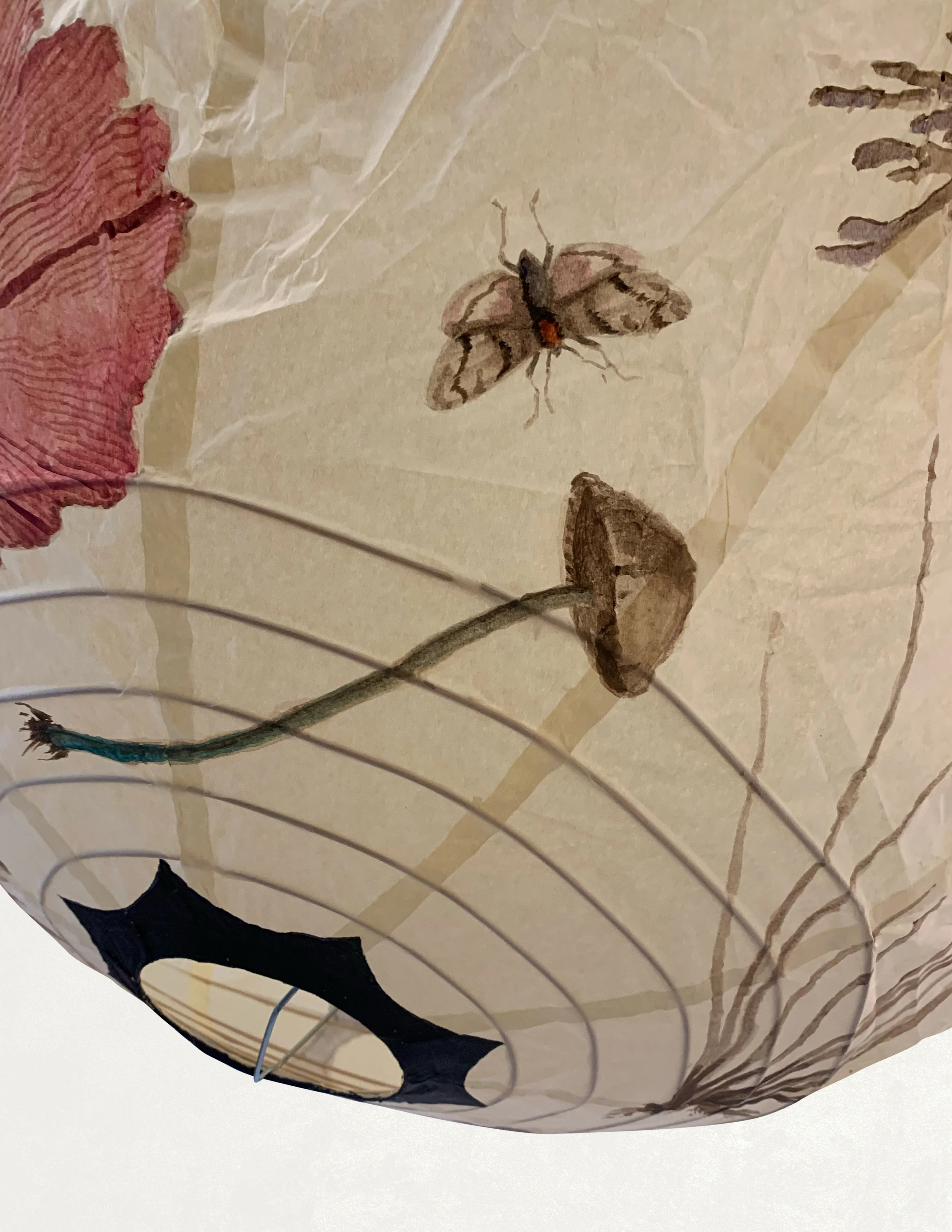 Funghi Lantern in Round - Image 4